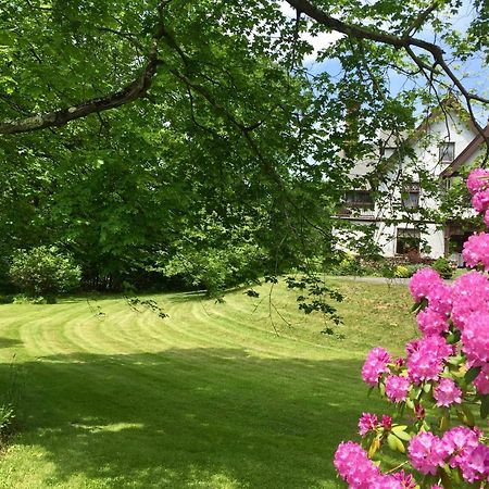 Norfolk Manor House Bed & Breakfast מראה חיצוני תמונה